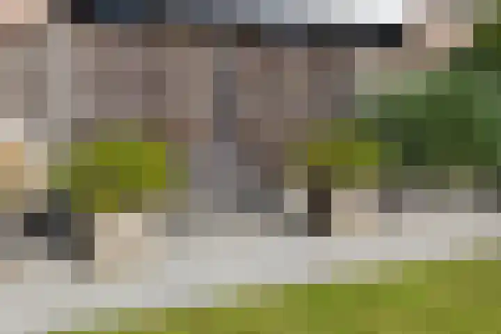 Tuinfluiter 27 Raalte thumbnail 26