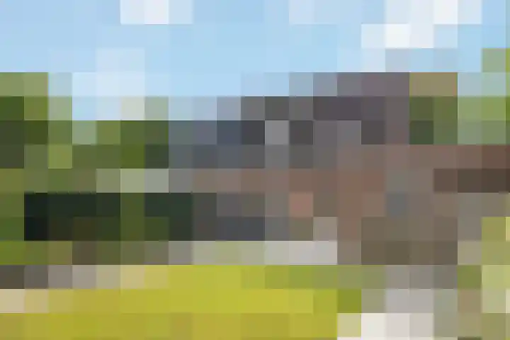 Tuinfluiter 27 Raalte thumbnail 27