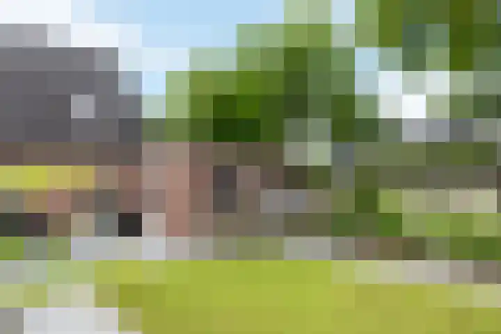 Tuinfluiter 27 Raalte thumbnail 28