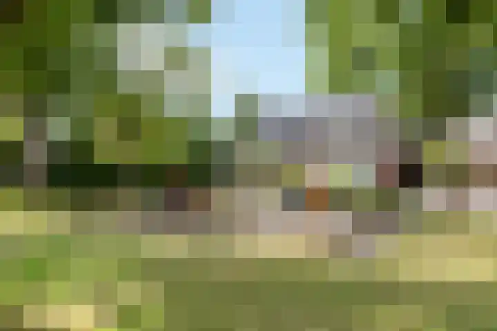 Tuinfluiter 27 Raalte thumbnail 4