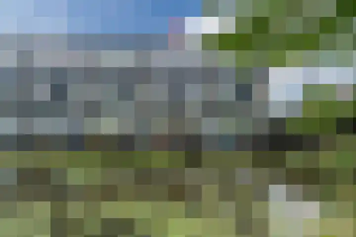 Tuinfluiter 3 Nieuwe Niedorp