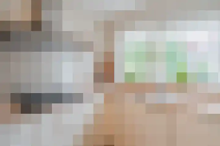 Tuinfluiter 3 Nieuwe Niedorp thumbnail 10