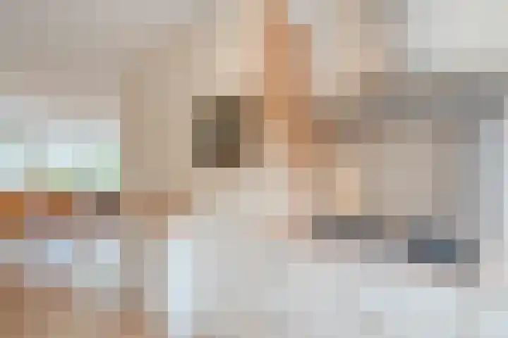 Tuinfluiter 3 Nieuwe Niedorp thumbnail 11