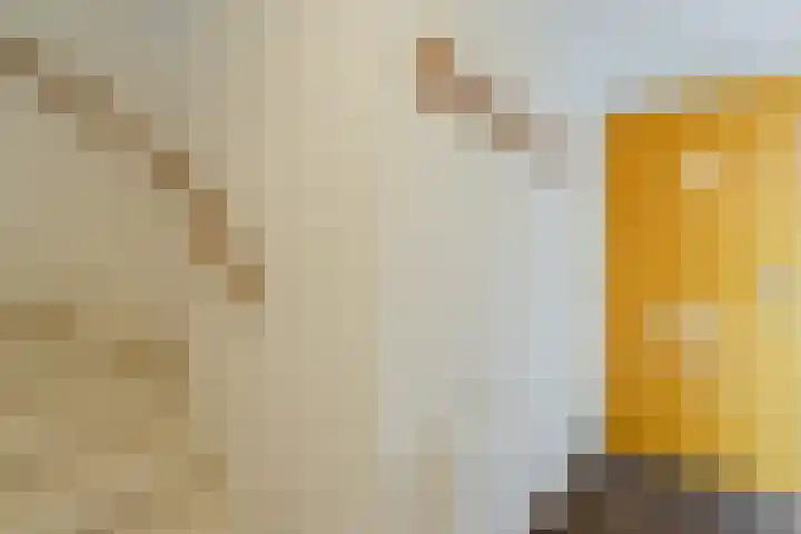 Tuinfluiter 3 Nieuwe Niedorp thumbnail 13