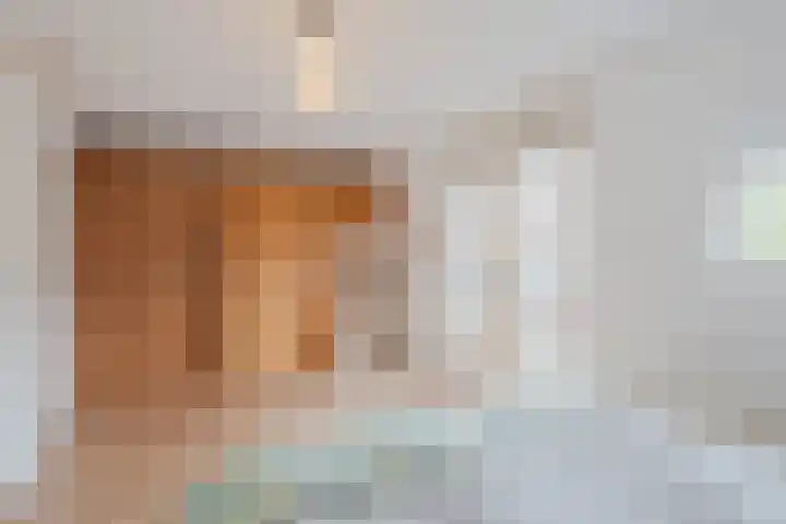 Tuinfluiter 3 Nieuwe Niedorp thumbnail 15