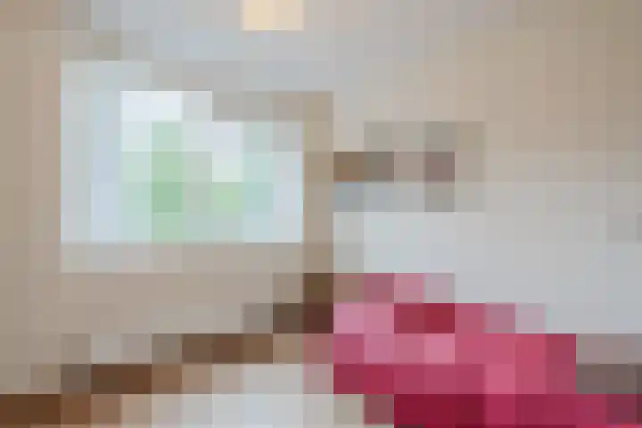 Tuinfluiter 3 Nieuwe Niedorp thumbnail 16