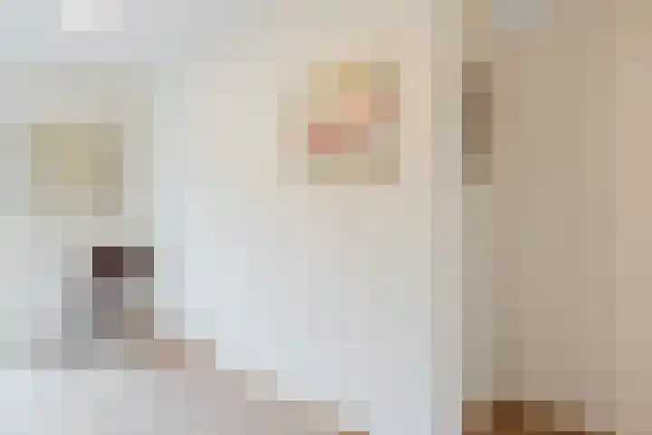 Tuinfluiter 3 Nieuwe Niedorp thumbnail 19