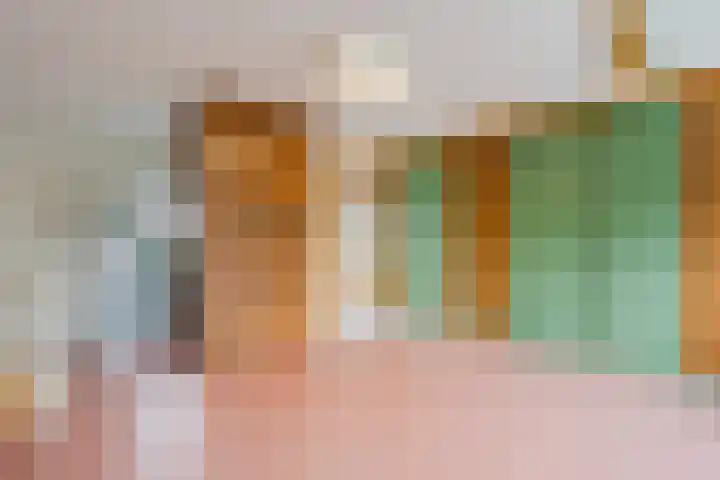 Tuinfluiter 3 Nieuwe Niedorp thumbnail 25