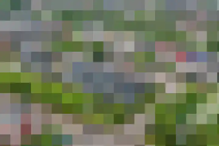 Tuinfluiter 3 Nieuwe Niedorp thumbnail 27