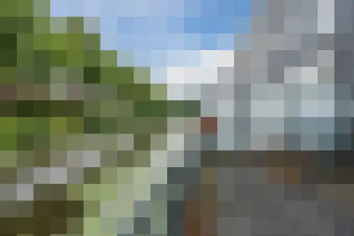 Tuinfluiter 3 Nieuwe Niedorp thumbnail 28