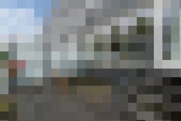 Tuinfluiter 3 Nieuwe Niedorp thumbnail 29