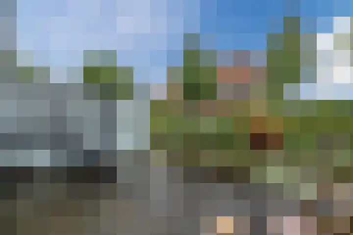 Tuinfluiter 3 Nieuwe Niedorp thumbnail 30