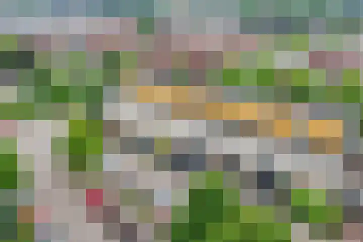 Tuinfluiter 3 Nieuwe Niedorp thumbnail 32