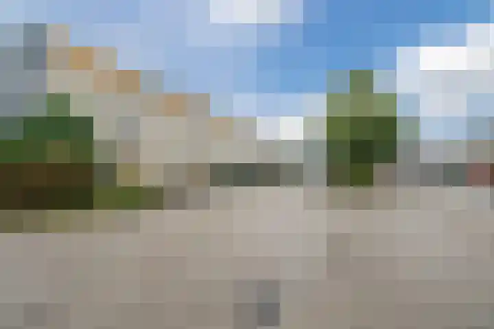 Tuinfluiter 3 Nieuwe Niedorp thumbnail 36