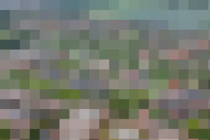 Tuinfluiter 3 Nieuwe Niedorp thumbnail 37