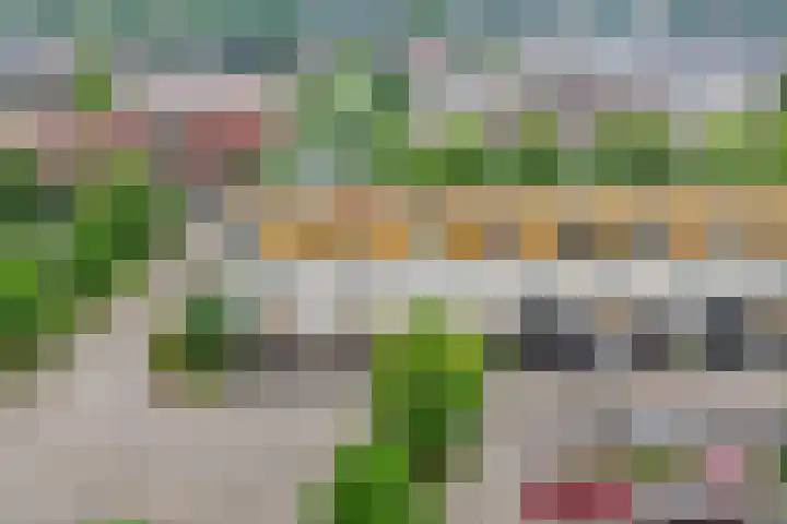 Tuinfluiter 3 Nieuwe Niedorp thumbnail 4