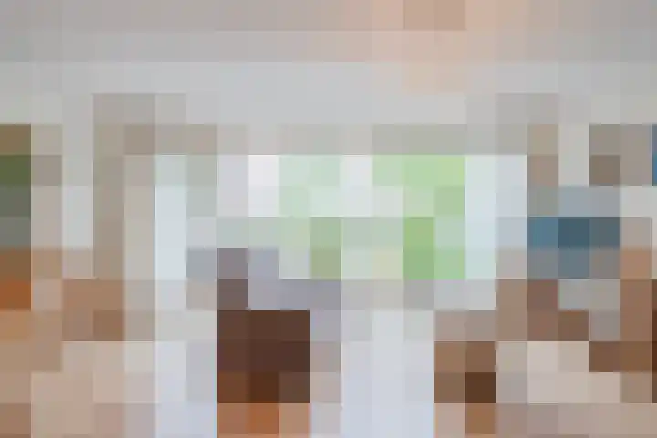 Tuinfluiter 3 Nieuwe Niedorp thumbnail 5