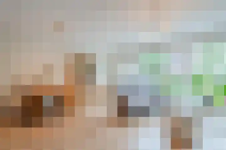 Tuinfluiter 3 Nieuwe Niedorp thumbnail 6