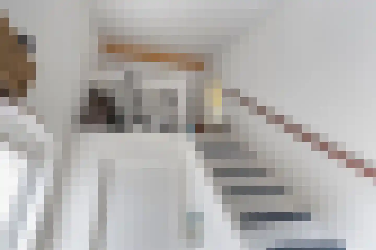 Tuinfluiter 32 Heemskerk thumbnail 11