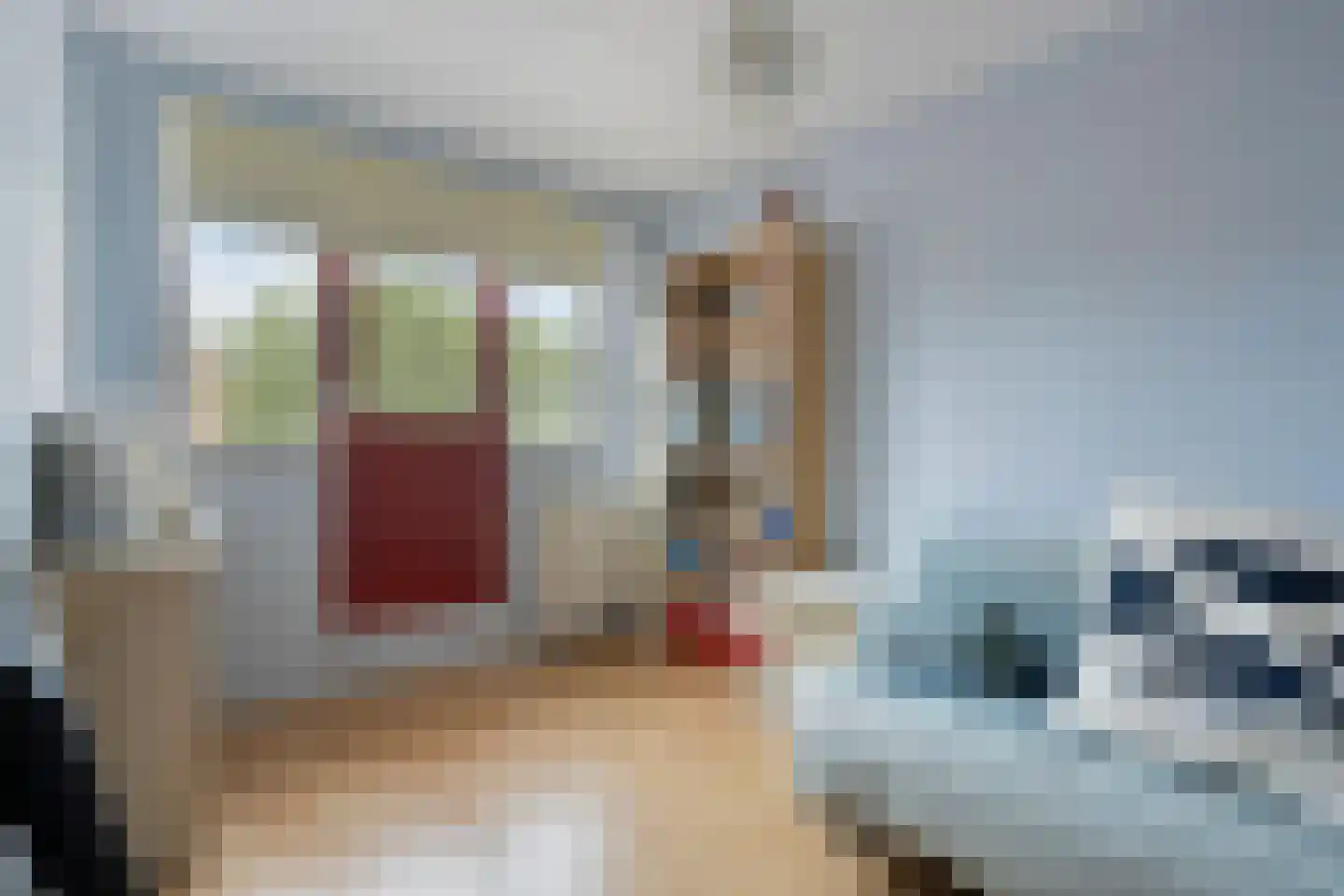 Tuinfluiter 32 Heemskerk thumbnail 15