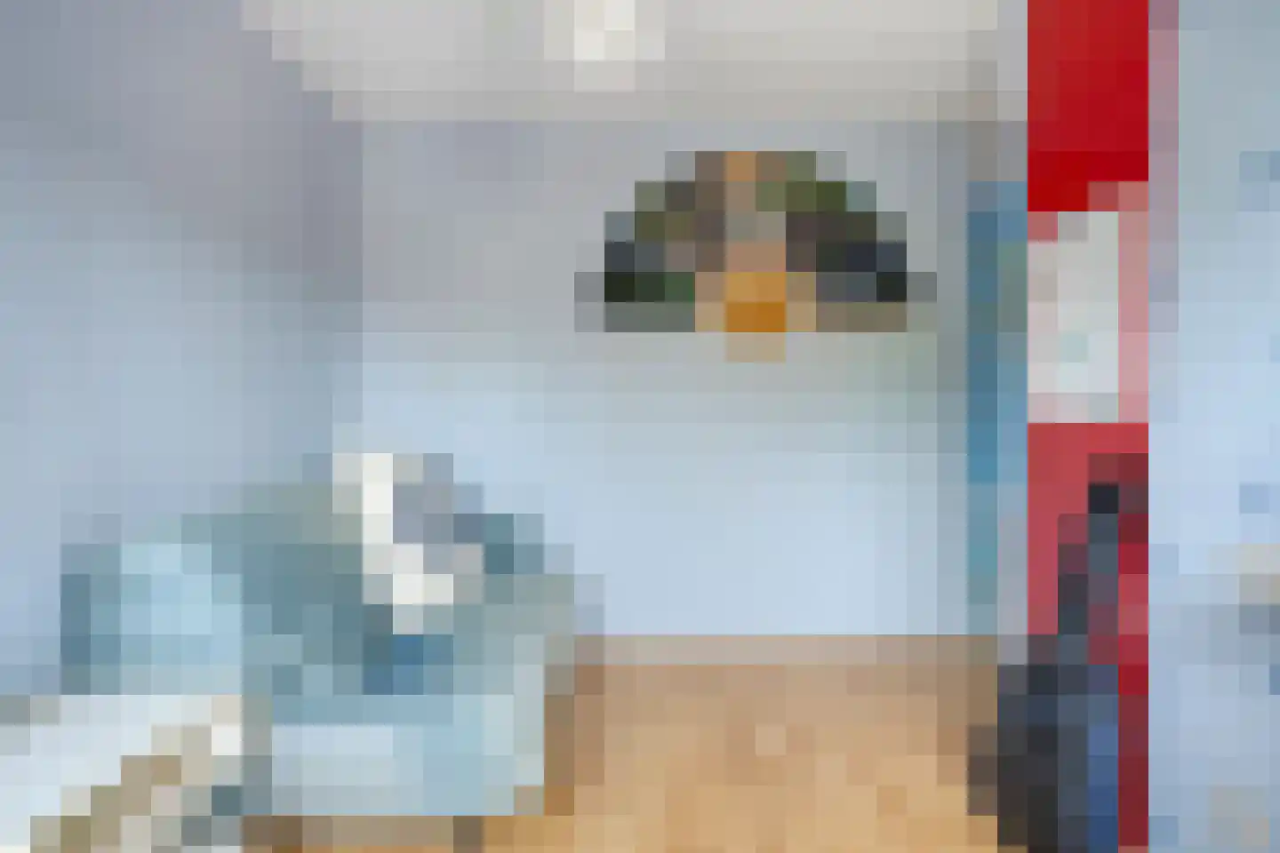 Tuinfluiter 32 Heemskerk thumbnail 16