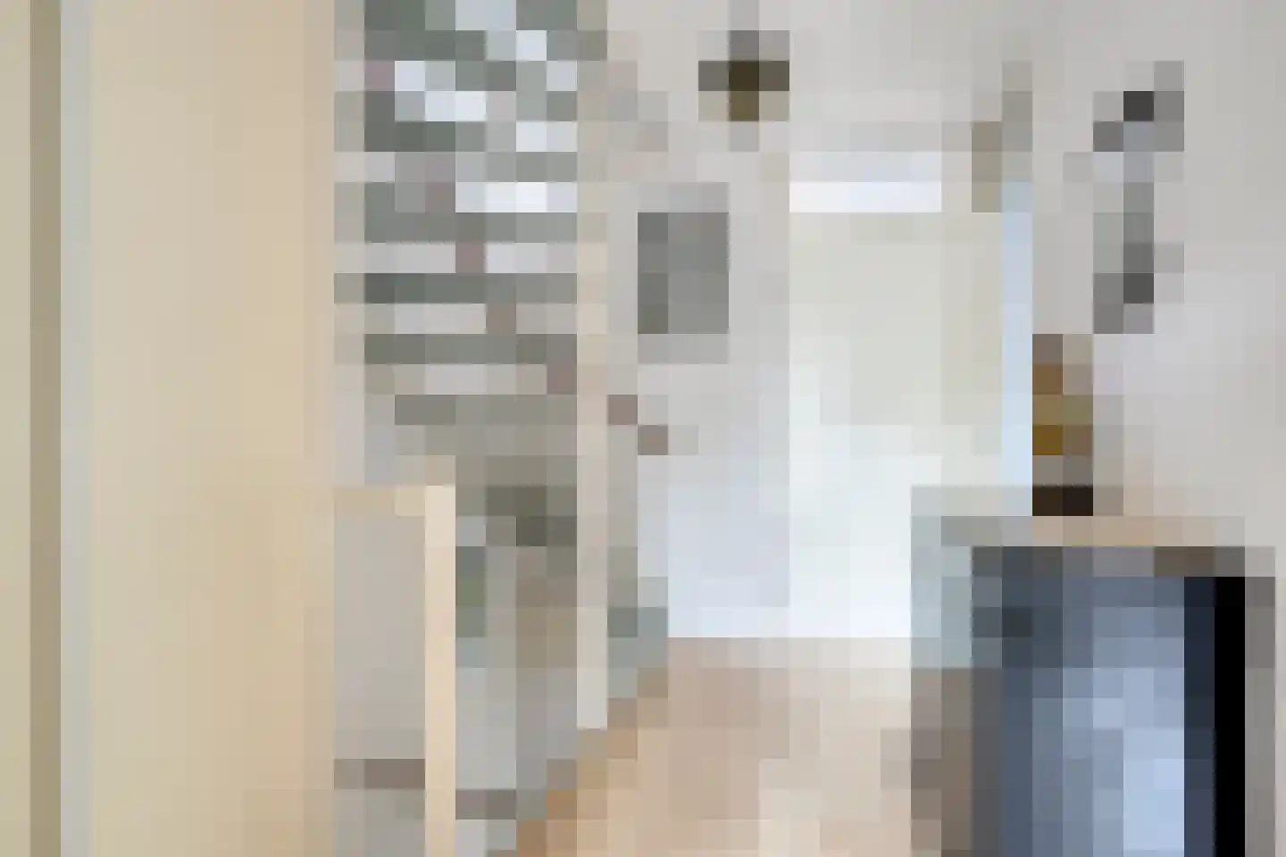 Tuinfluiter 32 Heemskerk thumbnail 18
