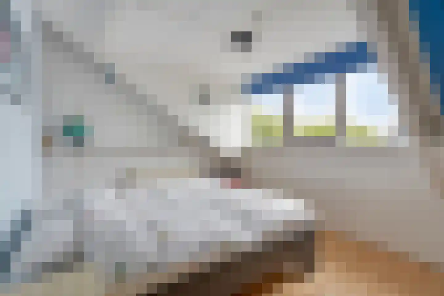 Tuinfluiter 32 Heemskerk thumbnail 19