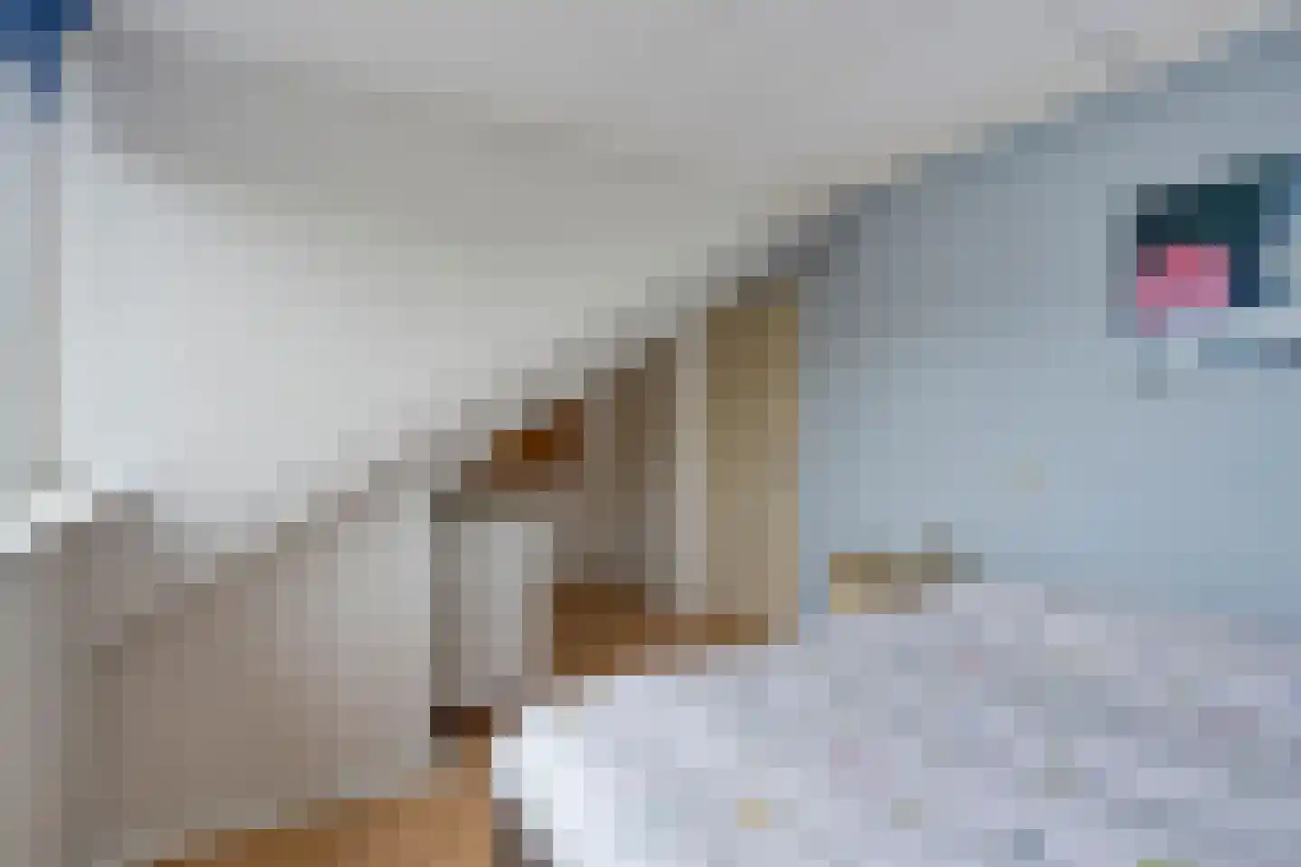 Tuinfluiter 32 Heemskerk thumbnail 20