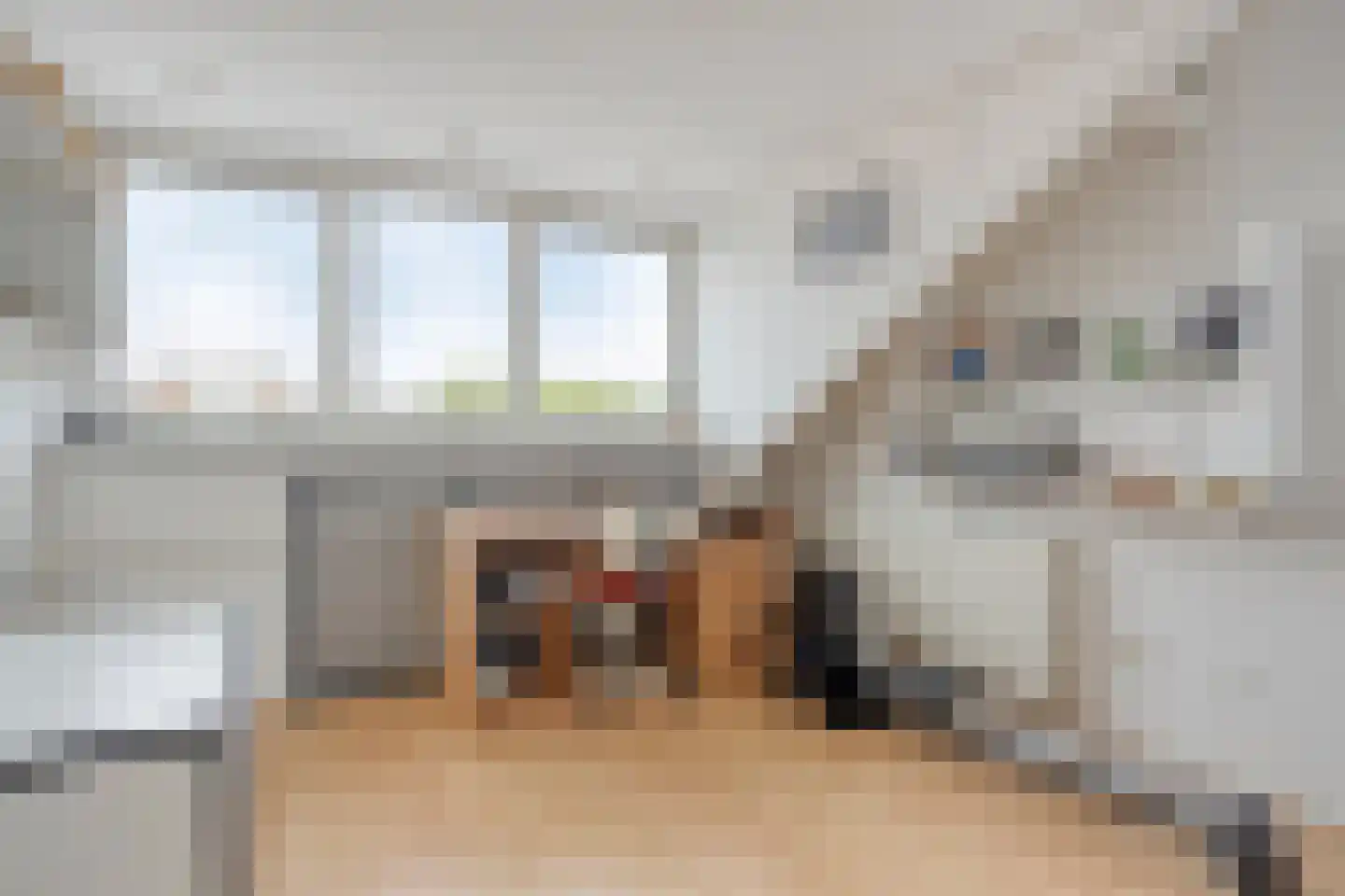 Tuinfluiter 32 Heemskerk thumbnail 22