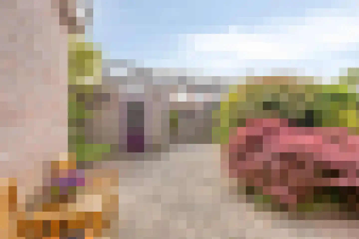 Tuinfluiter 32 Heemskerk thumbnail 25