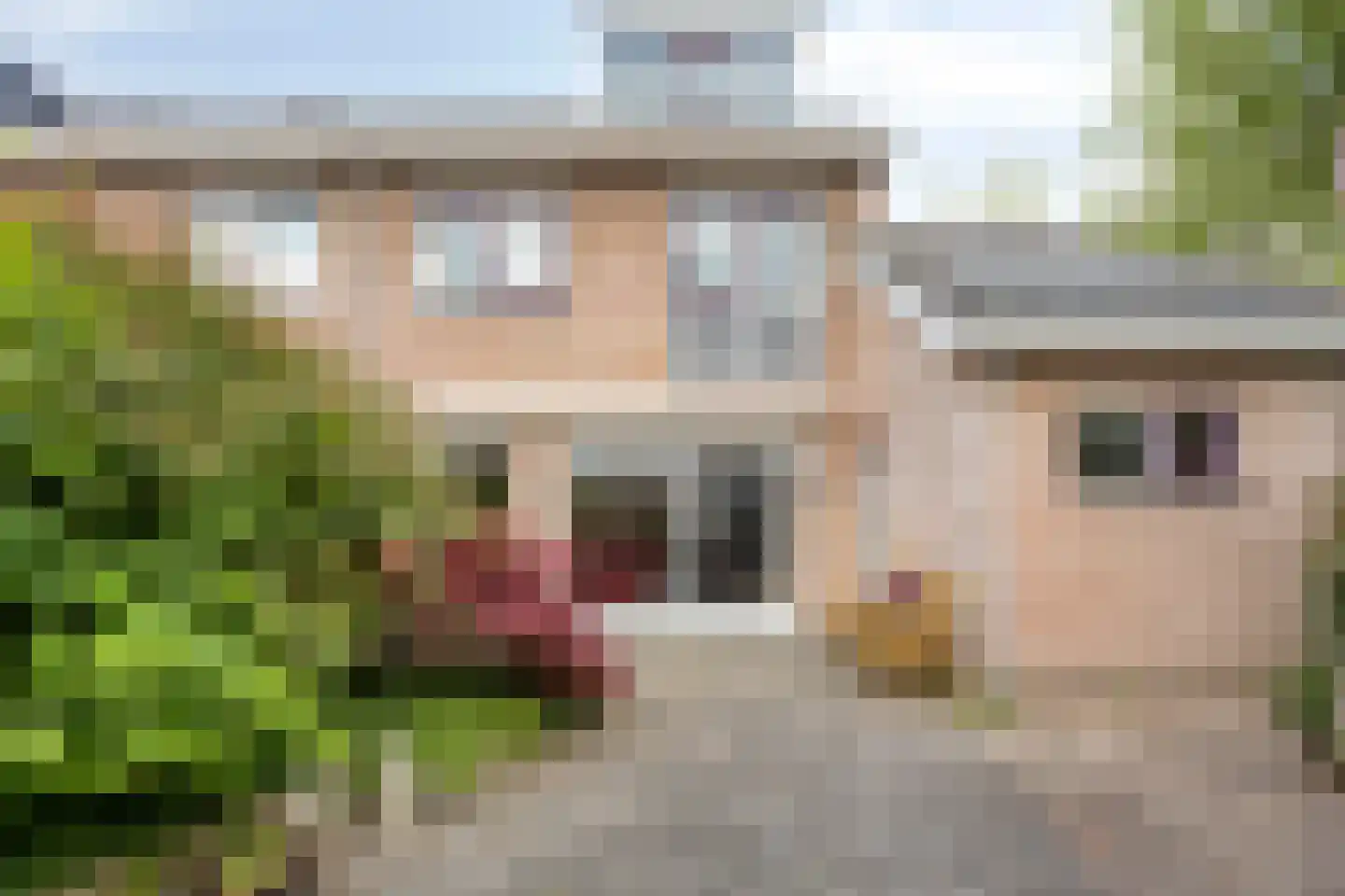 Tuinfluiter 32 Heemskerk thumbnail 26
