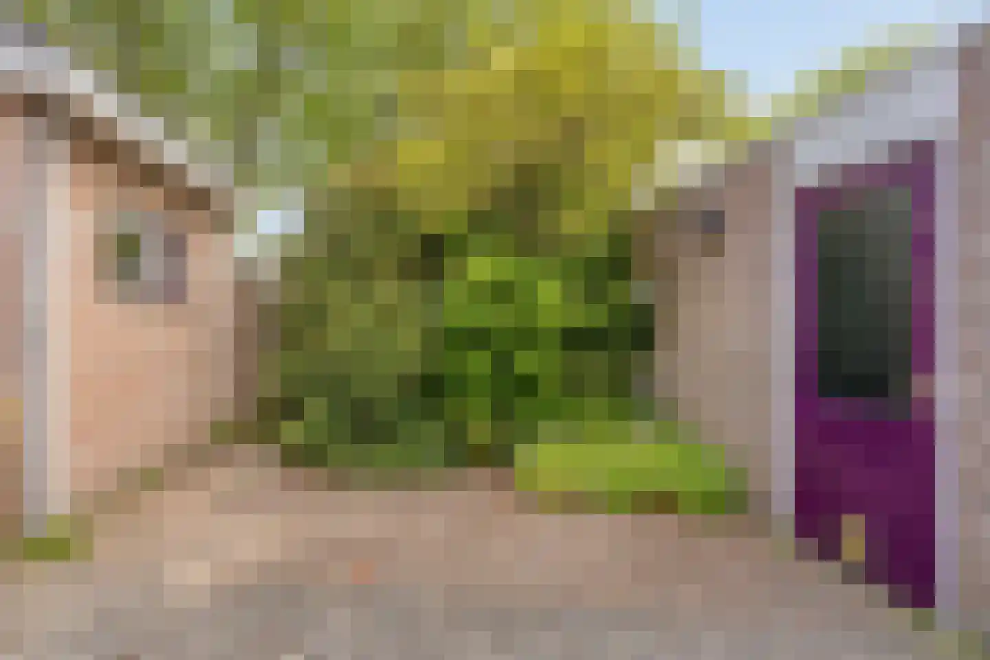 Tuinfluiter 32 Heemskerk thumbnail 27