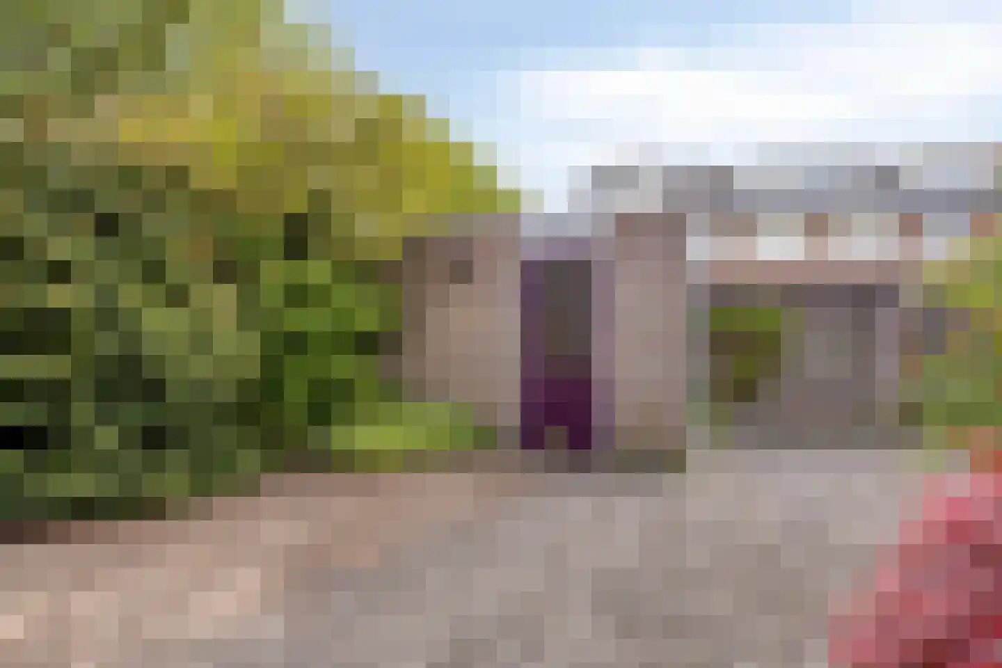 Tuinfluiter 32 Heemskerk thumbnail 28