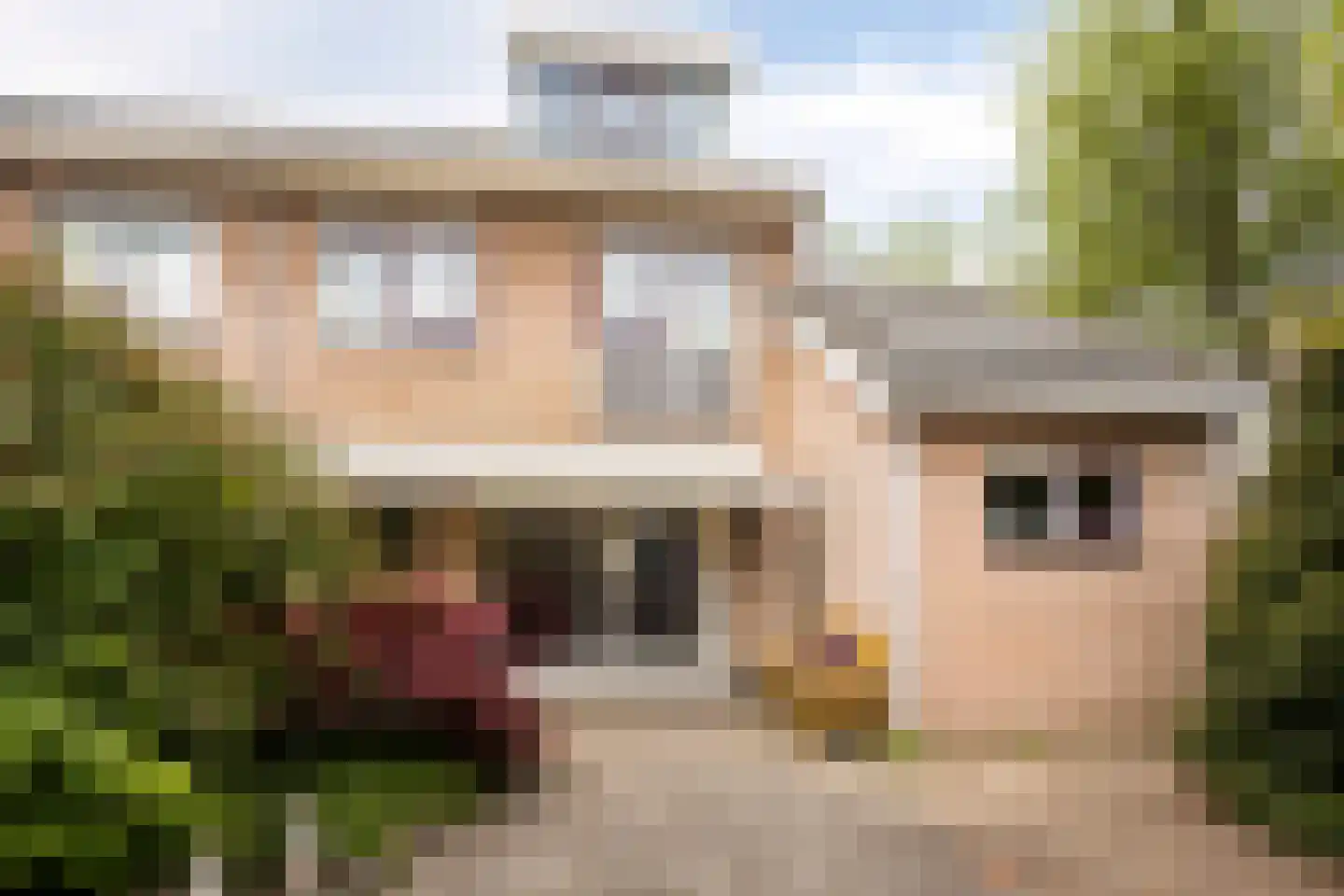 Tuinfluiter 32 Heemskerk thumbnail 29