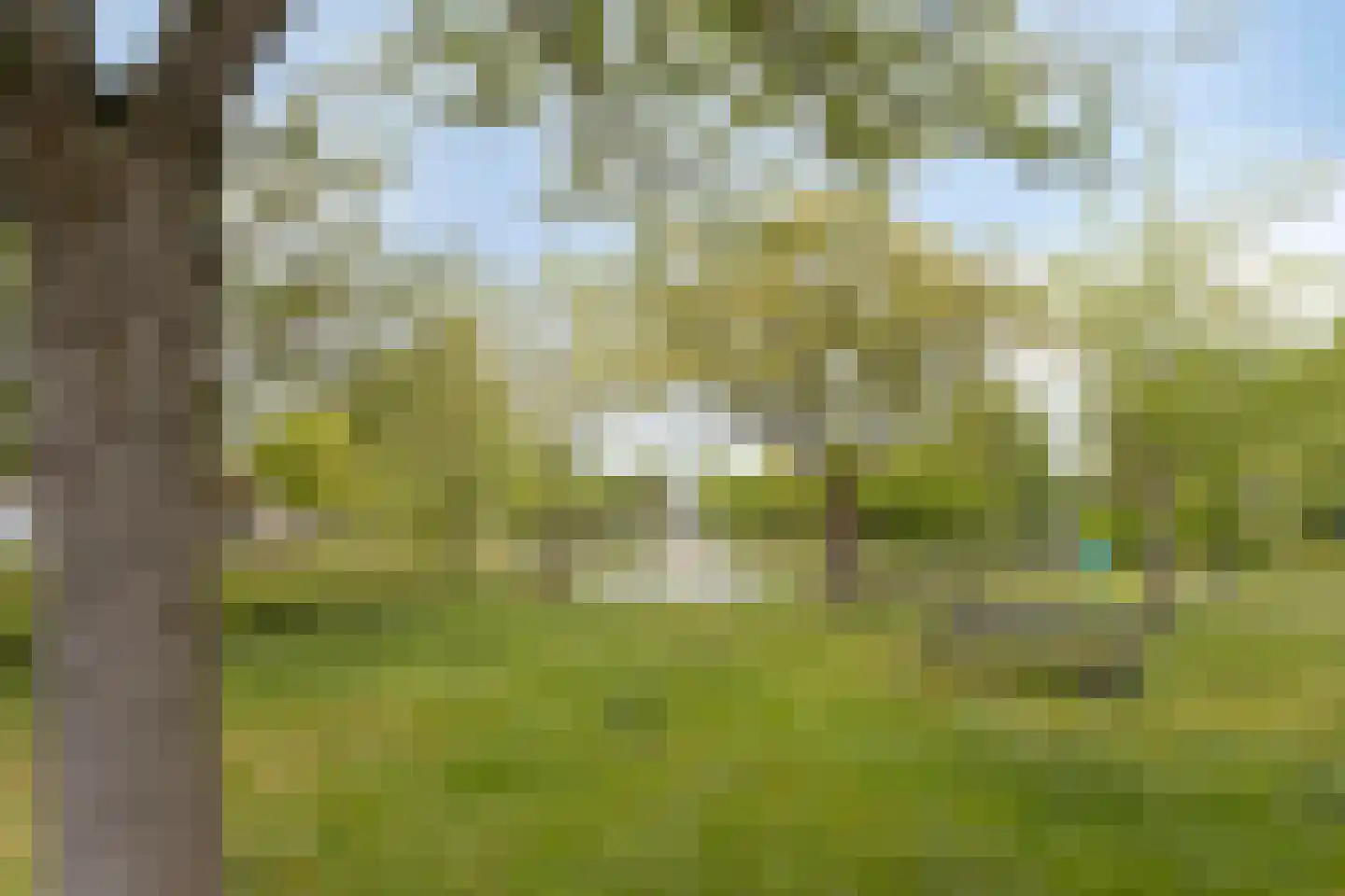 Tuinfluiter 32 Heemskerk thumbnail 31