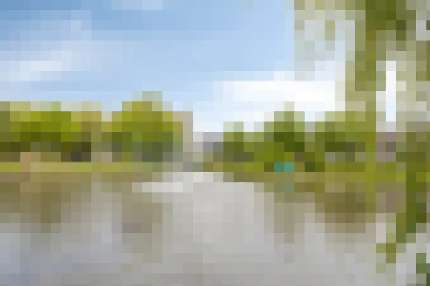 Tuinfluiter 32 Heemskerk thumbnail 32