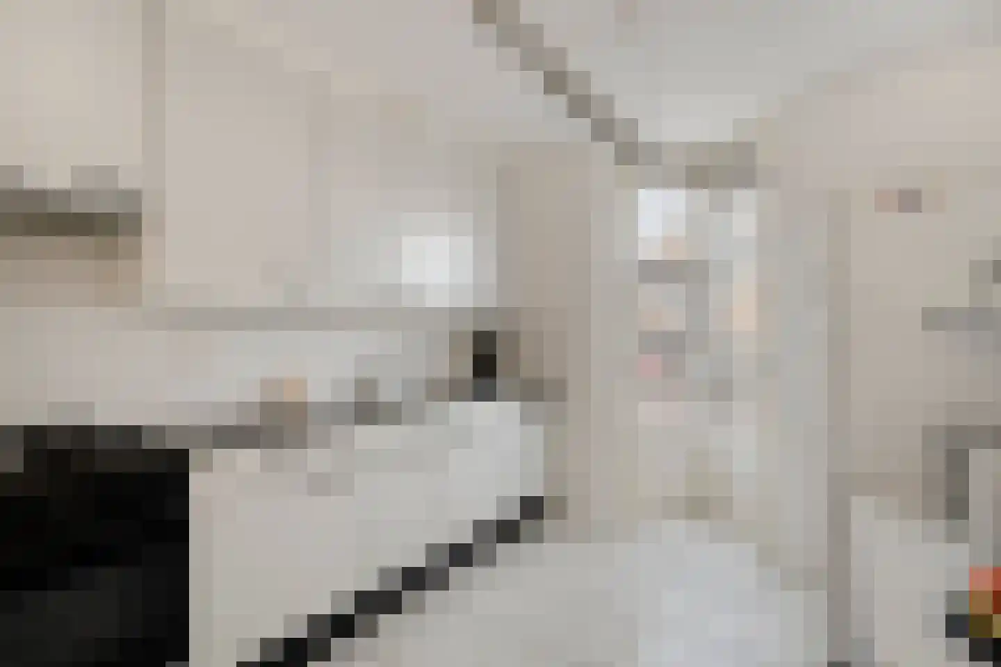 Tuinfluiter 32 Heemskerk thumbnail 8