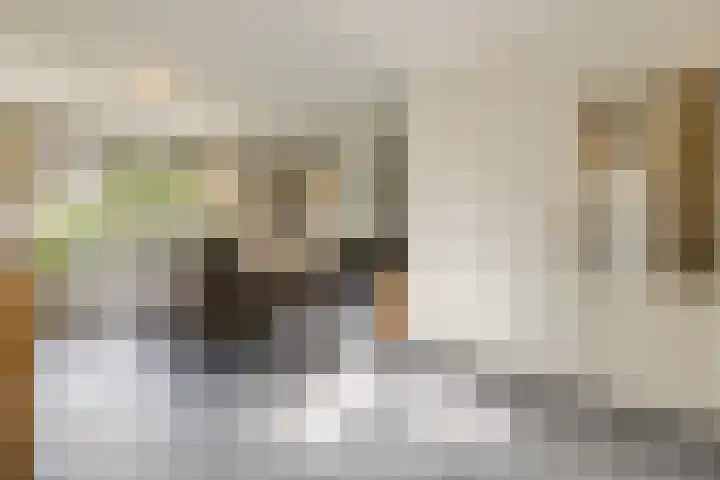 Tuinfluiter 39 Veenendaal thumbnail 10