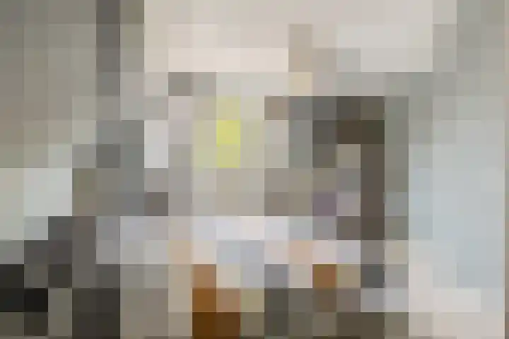 Tuinfluiter 39 Veenendaal thumbnail 20