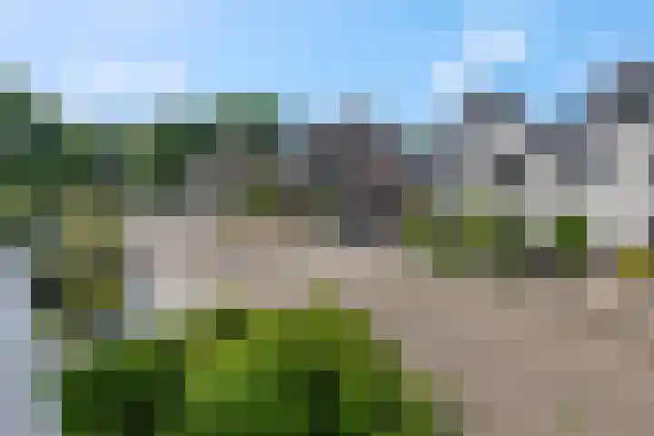 Tuinfluiter 39 Veenendaal thumbnail 21
