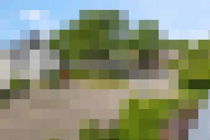 Tuinfluiter 39 Veenendaal thumbnail 22