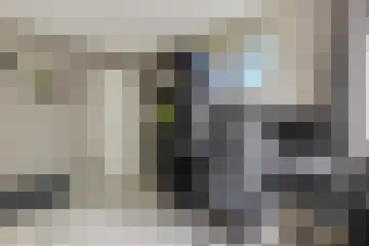 Tuinfluiter 39 Veenendaal thumbnail 24