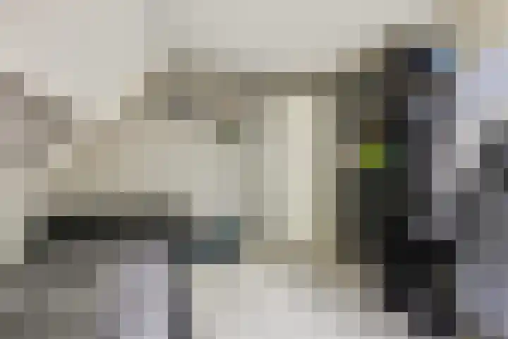 Tuinfluiter 39 Veenendaal thumbnail 25