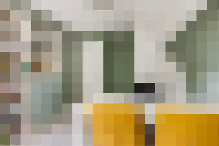 Tuinfluiter 39 Veenendaal thumbnail 27