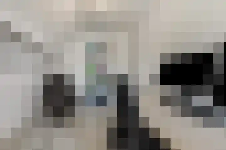 Tuinfluiter 39 Veenendaal thumbnail 28