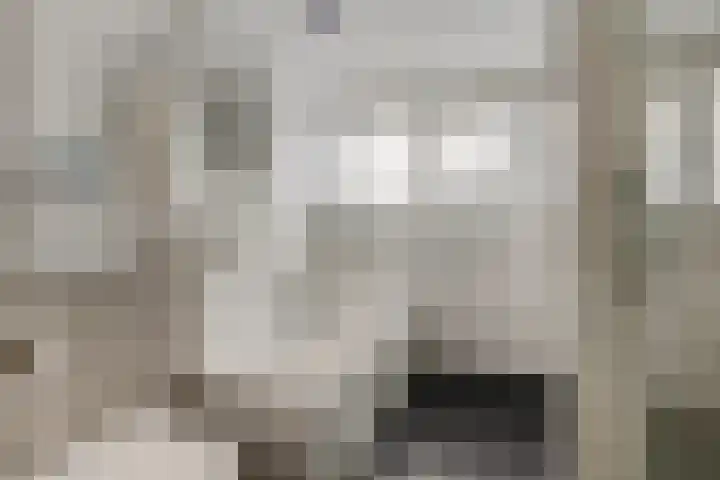 Tuinfluiter 39 Veenendaal thumbnail 30