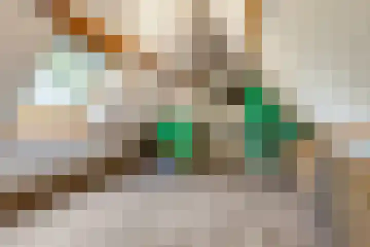 Tuinfluiter 39 Veenendaal thumbnail 34