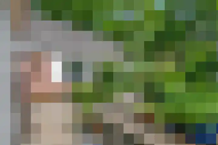 Tuinfluiter 39 Veenendaal thumbnail 35