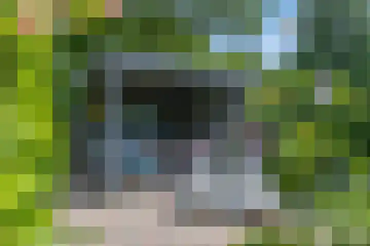 Tuinfluiter 39 Veenendaal thumbnail 37
