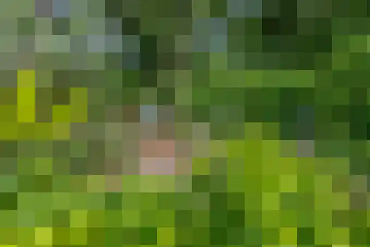 Tuinfluiter 39 Veenendaal thumbnail 38